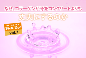 コラーゲン　骨を強化　解説