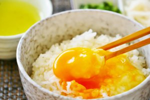タンパク質　プロテイン　摂取