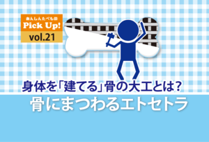 身体を「建てる」骨の大工とは？